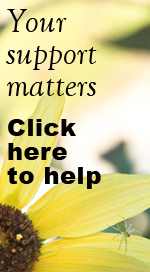 Your support matters.